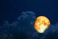 full blood moon back over silhouette cloud night blue sky Royalty Free Stock Photo