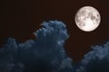 full blood moon back over silhouette cloud night blue sky Royalty Free Stock Photo