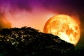 Full blood moon back silhouette trees and colorful sky Royalty Free Stock Photo
