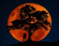 Full blood moon with southern cross stars in background as silhouette of a couple kissing under the Lebanese cedar tree