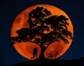 Full blood moon with southern cross stars in background as silhouette of a couple kissing under the Lebanese cedar tree Royalty Free Stock Photo