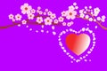 Full bloom cherry blossoms and petals blowing/flying around red heart shape, on purple background. Vector illustration.