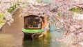 Full Bloom Sakura tunnel over Uji River with Tourist cruise in Kyoto, Japan. Fushimi Jyukkokubune Sanjyukkokubune Royalty Free Stock Photo