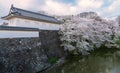 Full bloomed of cherry blossom along the castle moat.
