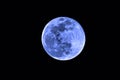 Full blue moon on black background Royalty Free Stock Photo