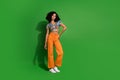 Full body length photo of young magnificent lady wavy hair posing experienced model in new garment isolated on green Royalty Free Stock Photo