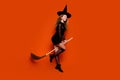 Full body photo of attractive blonde teen woman broom flying sabbath dressed black halloween clothes isolated on orange