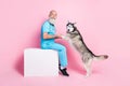 Full body photo of kind veterinarian man examine purebred alaskan malamut isolated on pastel color background