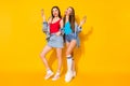 Full body photo positive cheerful girls sisters youth enjoy spring time weekend hold tasty icecream scoops wear red blue Royalty Free Stock Photo