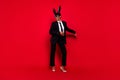 Full body photo of young cheerful man woman wear mask tux costume isolated over red color background Royalty Free Stock Photo