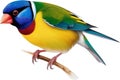 Full body portrait image of Gouldian Finch bird. AI-generated.