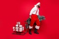 Full body profile side photo of crazy bearded santa claus scream wow omg pull sledge with prsent wear white stylish hat Royalty Free Stock Photo