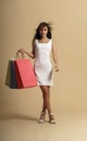 Full body shot of pretty woman wearing dress and carrying shopping bags Royalty Free Stock Photo