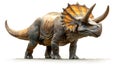 Full-Body Side Profile of a Triceratops