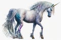 Full Body Unicorn Painting watercolor , Watercolor Painting Artwork.