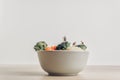 Full bowl of fresh salad green harvested by miniature farmers Royalty Free Stock Photo