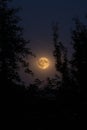 Full buck moon (July, 2023) on the dark night sky Royalty Free Stock Photo
