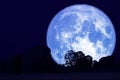 full buck moon on night sky back over silhouette forest Royalty Free Stock Photo