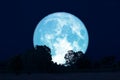 full buck moon on night sky back over silhouette forest Royalty Free Stock Photo