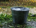 Full bucket of water. rain. dripping from the roof