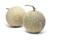 Full Cantaloupe melon on white background. Royalty Free Stock Photo