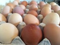 Carton of eggs of different colors