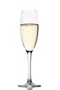 Full champagne flute Royalty Free Stock Photo