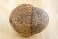 Full coconut with nutshells on wooden bambo table Royalty Free Stock Photo