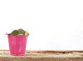 Full coins in pink bucket. Royalty Free Stock Photo