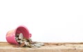 Full coins in pink bucket .on white Royalty Free Stock Photo