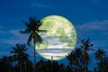 full cold moon back on coconut tree in the night sky