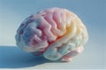 Full Color Ceramic Human Brain â Hyperrealistic 3D Concept of Intelligence and Creativity Royalty Free Stock Photo