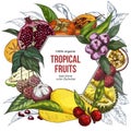 Full color realistic drawn exotic fruits banner.