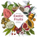 Full color realistic drawn exotic fruits banner