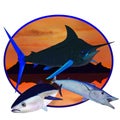 A blue marlin, bluefin tuna and wahoo with a tropical island background Royalty Free Stock Photo