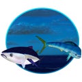 Bluefin tuna and mahi mahi fish with a sky blue background Royalty Free Stock Photo