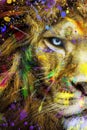 Full colors Lion , wildlife animal ink , modern abstract art