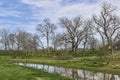 A full Creek runs lazily through a Sub division at Richmond Texas, with grassy Backyards and wooden fencing. Royalty Free Stock Photo