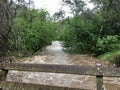 Rushing Creek Royalty Free Stock Photo