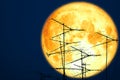 full crow moon back on silhouette atenna on night sky Royalty Free Stock Photo