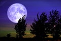 Full Crow Moon and silhouette tree in the field and night sky