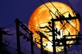 full crust moon back on silhouette power electric line on night sky