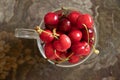 full cup with cherries, sweet cherries