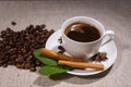 Full cup of coffee with cinnamon sticks and mint Royalty Free Stock Photo