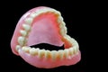 Full denture on black background Royalty Free Stock Photo