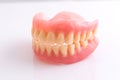 Full denture on white background Royalty Free Stock Photo