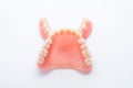 Full denture on white background Royalty Free Stock Photo