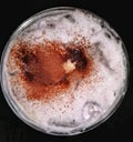 CloseÃ¢â¬â¹upÃ¢â¬â¹ bubblesÃ¢â¬â¹ ofÃ¢â¬â¹ hot EspressoÃ¢â¬â¹ coffeeÃ¢â¬â¹ Ã¢â¬â¹ isolatedÃ¢â¬â¹ onÃ¢â¬â¹ whiteÃ¢â¬â¹ background.Ã¢â¬â¹ Top viewÃ¢â¬â¹ ofÃ¢â¬â¹ brown, wh Royalty Free Stock Photo