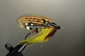 Full-dress classic salmon fly Royalty Free Stock Photo