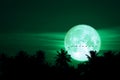 full egg moon back on silhouette birds on the night sky
